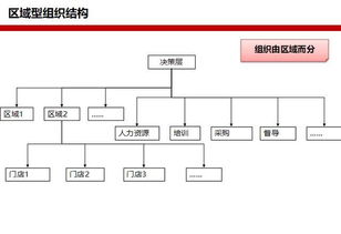 确定设计方案[确定设计方案的原则]