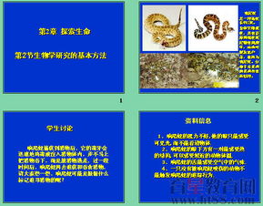 实验生物设计方案[生物实验设计方案步骤]