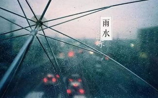 人工雨景设计方案[人工雨的原理]