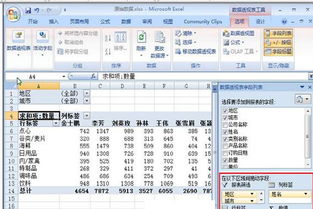 报表筛选项设计设计方案[显示报表筛选页是什么意思]