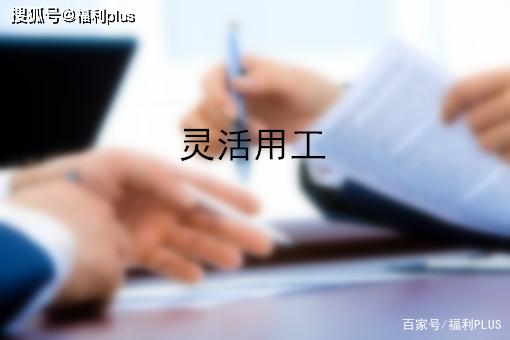 企业用工设计方案[企业用工设计方案怎么写]