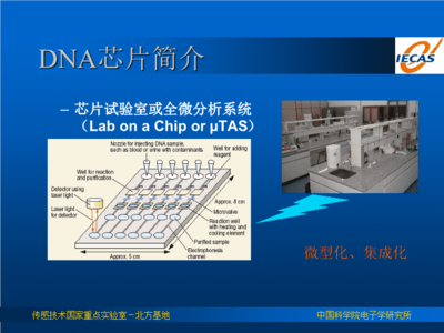 关于pcr的ppt的信息