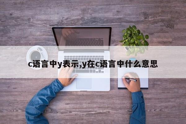 c语言中y表示,y在c语言中什么意思