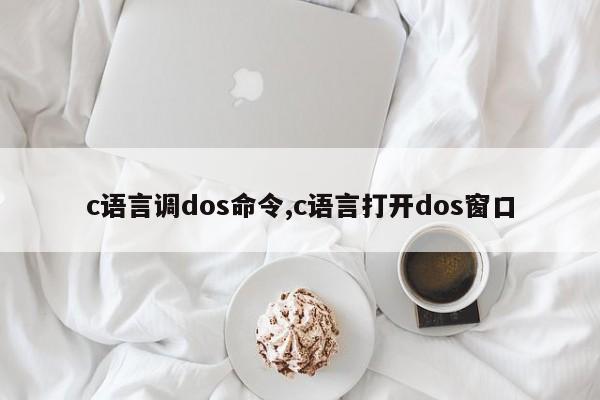 c语言调dos命令,c语言打开dos窗口