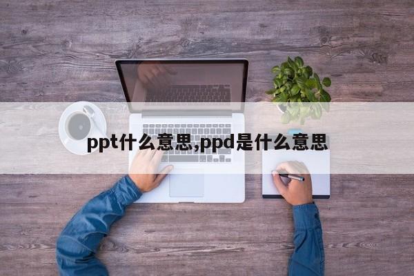 ppt什么意思,ppd是什么意思